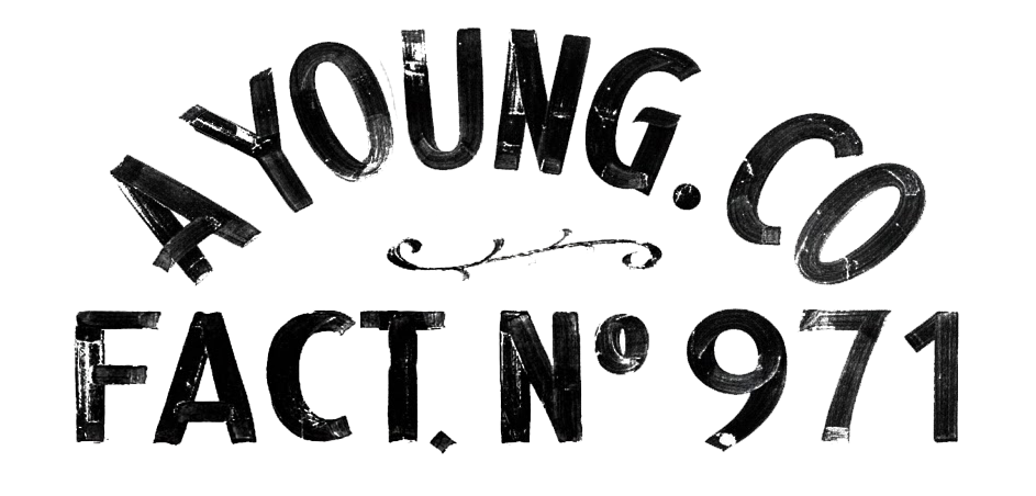 AYOUNGCO logo